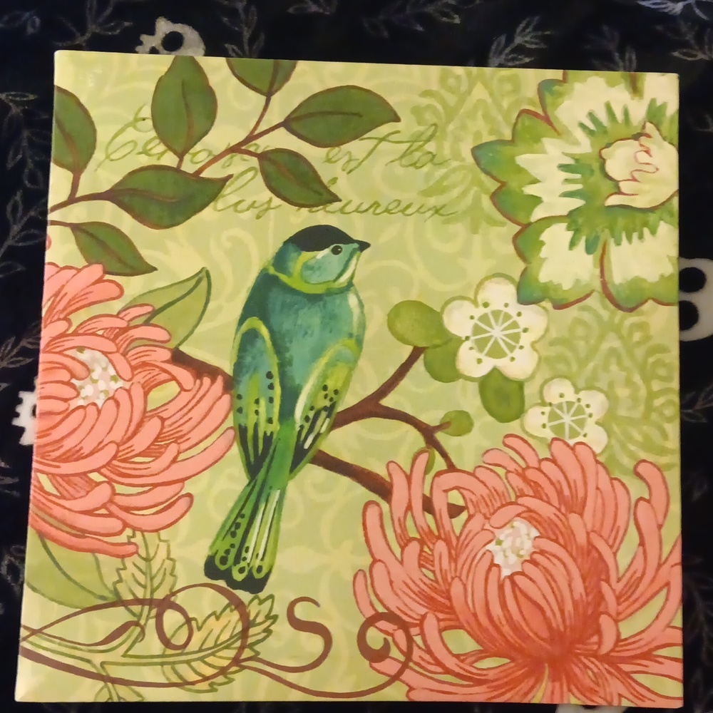 12×12in Canvas Picture